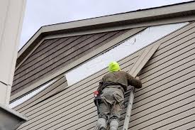 Best Historical Building Siding Restoration  in USA